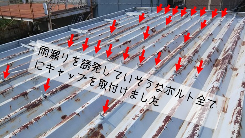 広島県呉市　アパート折半屋根　雨漏り修理工事　ボルトキャップ取り付け 全体